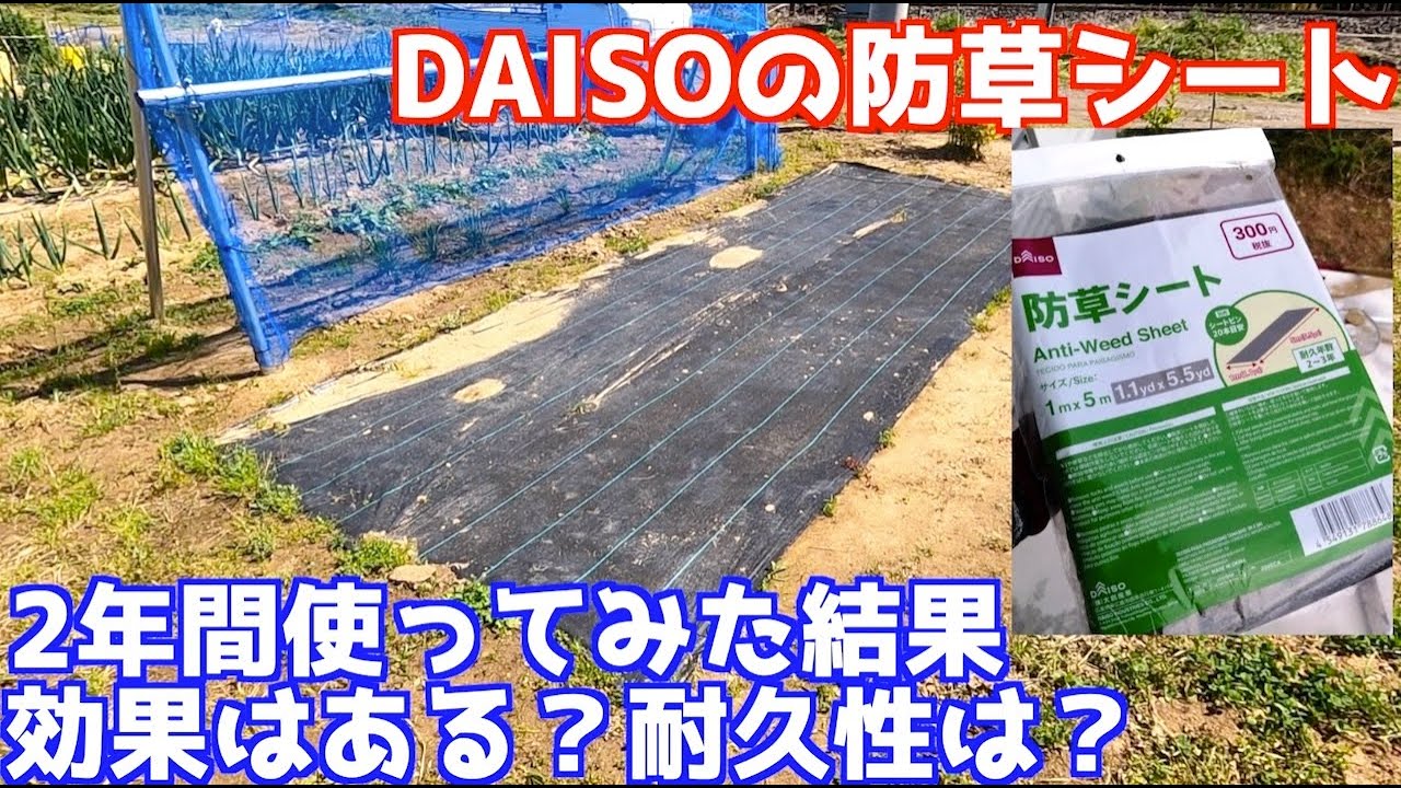 100均で庭の雑草対策！DAISOの防草シートを2年使ってみた結果は？効果はある？