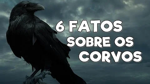 Que tipo de aves são os corvos?