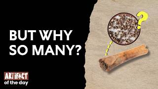 This Roman Artifact Was Full of Poisonous Seeds