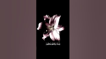 اكتب شيء تؤجر عليه  #قرآن #اكسبلور #المصحف #سورة_السجدة #عبدالرحمن_مسعد #راحة_نفسية #quran 