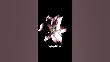 اكتب شيء تؤجر عليه  #قرآن #اكسبلور #المصحف #سورة_السجدة #عبدالرحمن_مسعد #راحة_نفسية #quran 