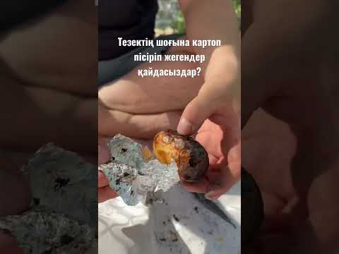 КАРТОШКА ФРИ жолда қалады! Шоққа піскен картоптар😍 каналға тіркел @nurzina_nur