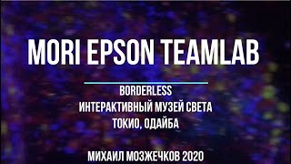 Mori Epson Teamlab Borderless В Токио