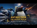 The Land of Pure Silence | Antarctica The Frozen Realm.