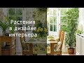 Растения в дизайне интерьера. 7 основных преимуществ