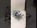 Tensegrity Flexibility