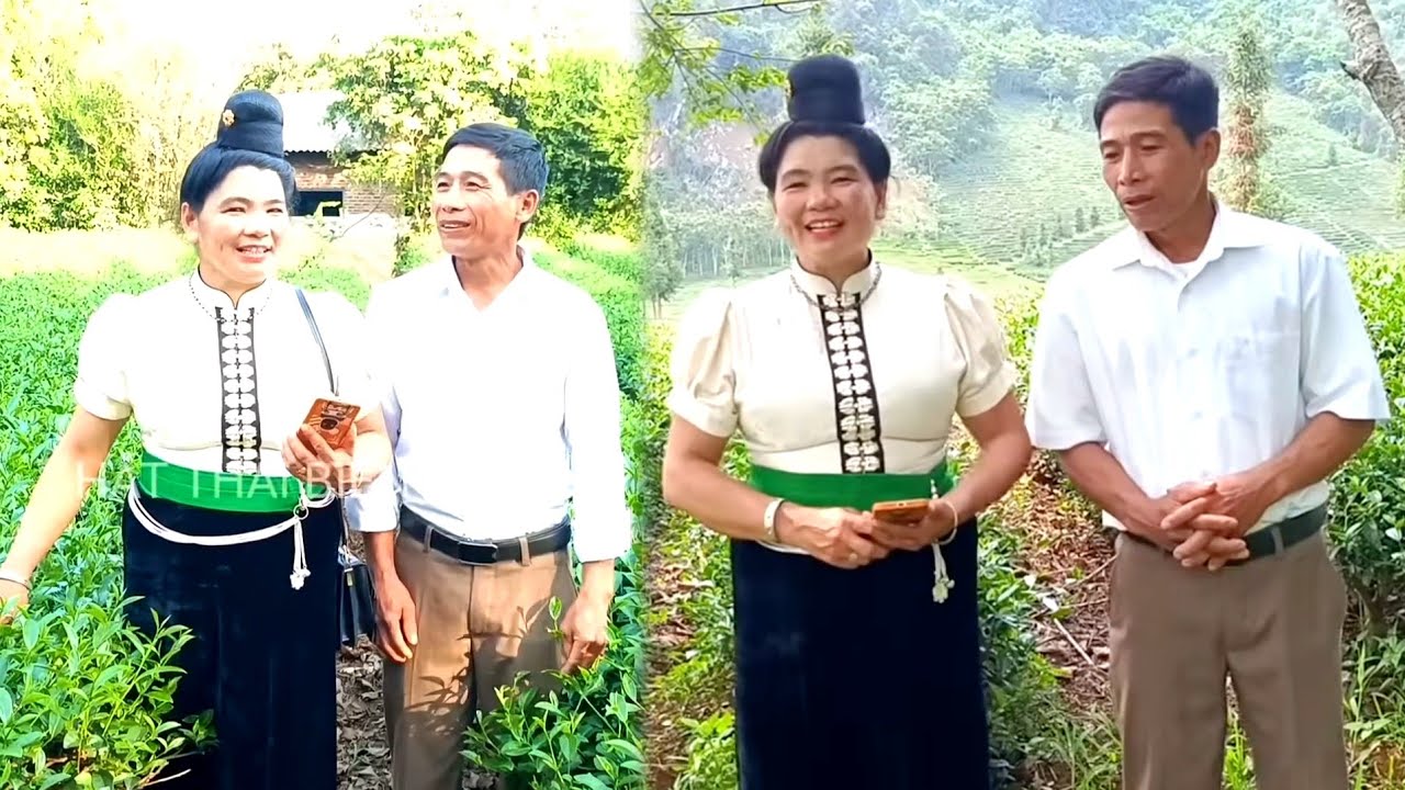 Tổng hợp tất cả bài hát 