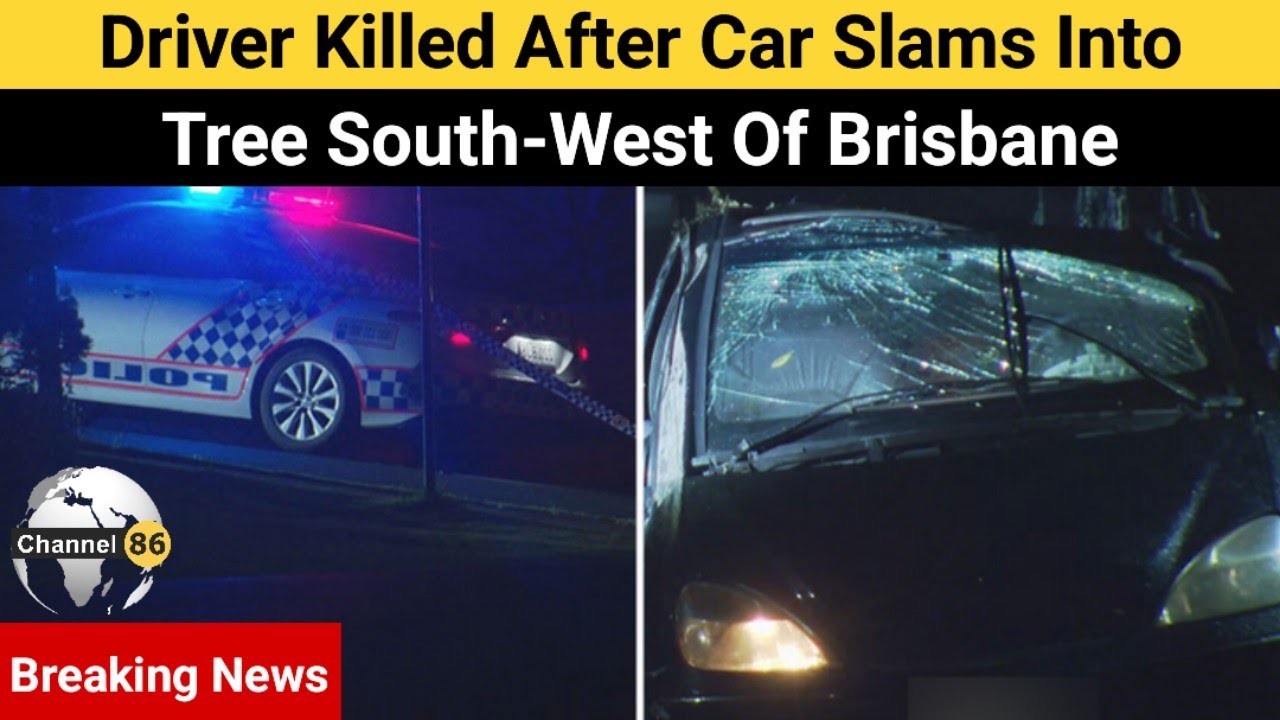 Driver killed after car slams into tree south-west of Brisbane ...
