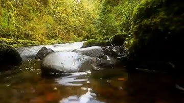 آيات من سورة الجمعة بصوت القارئ: موسى مصلح