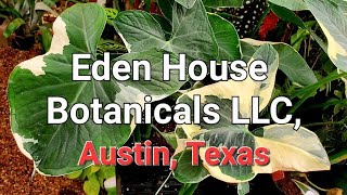 Eden House Botanical LLC, Austin, Texas