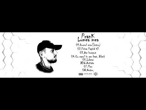 06.prank---artista