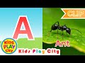 🌈 Learn Letter A for Kids 🅰️ | NEW CLIP 🎉 | ABC Learning for Preschoolers 👧🧒