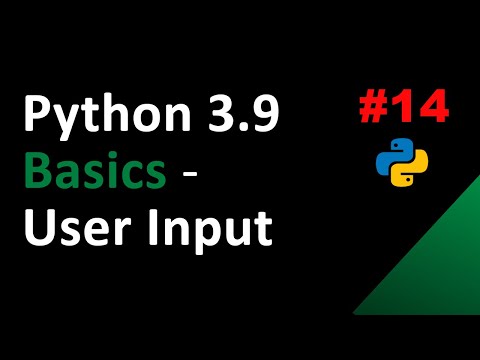 Python 3.9: User Input