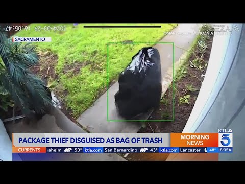 Thief disguises self as bag of trash