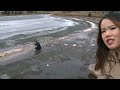 On thin ice: Alberta man jumps into icy pond to rescue dog