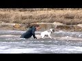 On thin ice: Alberta man jumps into icy pond to rescue dog