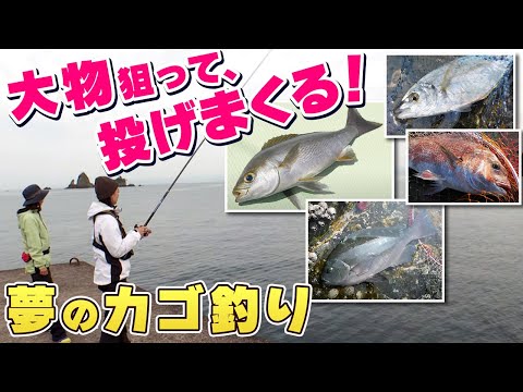 Go Go 九ちゃんフィッシング 477 田子沖堤防で夢のカゴ釣り 前篇 狙えマダイ イサキ シマアジ メジナ 釣り動画 Go Go 九ちゃんフィッシング 477 田子沖堤防で夢のカゴ釣り 前篇 狙えマダイ イサキ シマアジ メジナ 釣り動画
