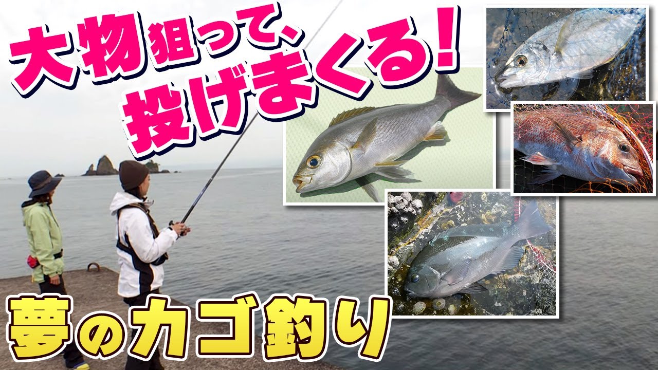 Go Go 九ちゃんフィッシング 477 田子沖堤防で夢のカゴ釣り 前篇 狙えマダイ イサキ シマアジ メジナ Youtube Go Go 九ちゃんフィッシング 477 田子沖堤防で夢のカゴ釣り 前篇 狙えマダイ イサキ シマアジ メジナ Youtube