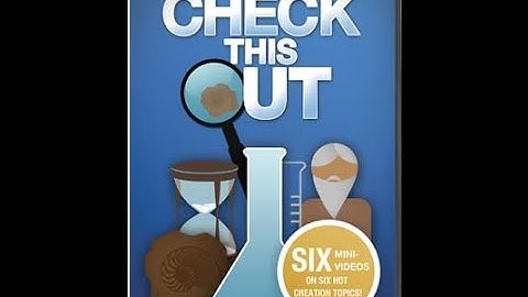 Check This Out: Fossils & the Flood