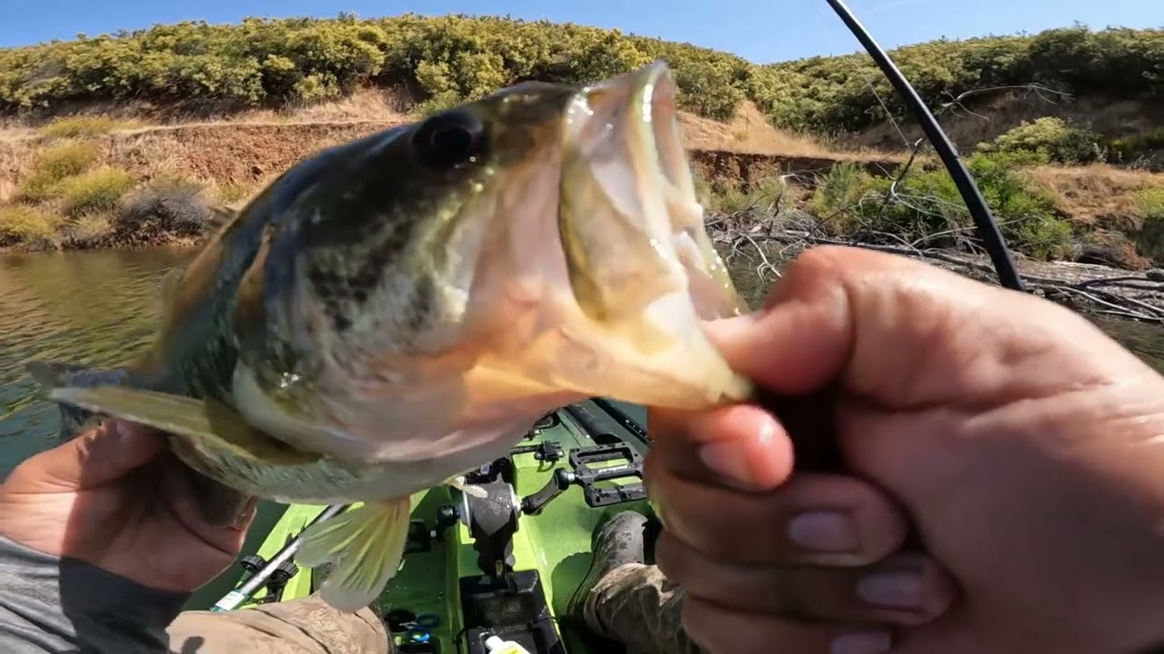 Late Spring Bass Fishing at Lake Pardee