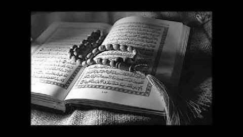 أسامة يعقوب الشوكاني ..سورة الإنسان