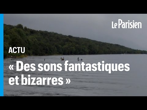 Écosse : 200 chasseurs en expédition à la recherche du monstre du Loch Ness