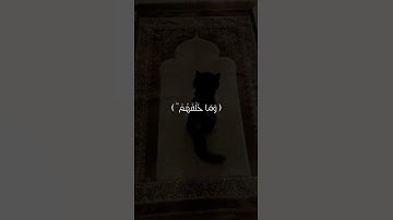 آية الكرسي - اللَّهُ لَا إِلَهَ إِلَّا هُوَ الْحَيُّ الْقَيُّومُ -تلاوة خاشعة للقارئ اسلام صبحي