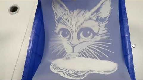 High Speed Roll To Roll Digital Color Label Sticker Printer For Label Printing