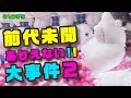 【UFOキャッチャー】確率機でありえない事が起こりました！！その２【ぬいぐるみGET!!】