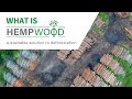 What is HempWood?