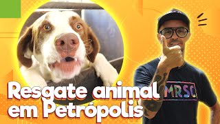 Resgate de animais em Petrópolis (com G.R.A.D) | Baw Waw Social @moradoresderuaeseuscaesmrs868 by Baw Waw Oficial 1,106 views 2 years ago 8 minutes, 45 seconds
