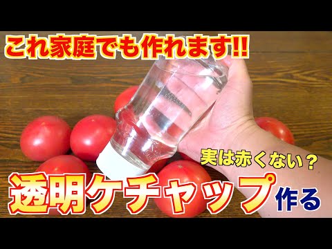 実は赤くない?透明ケチャップ作る