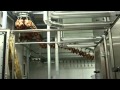 Maurer Atmos Continuous Chicken Baking Line Hungary ESK Grupp