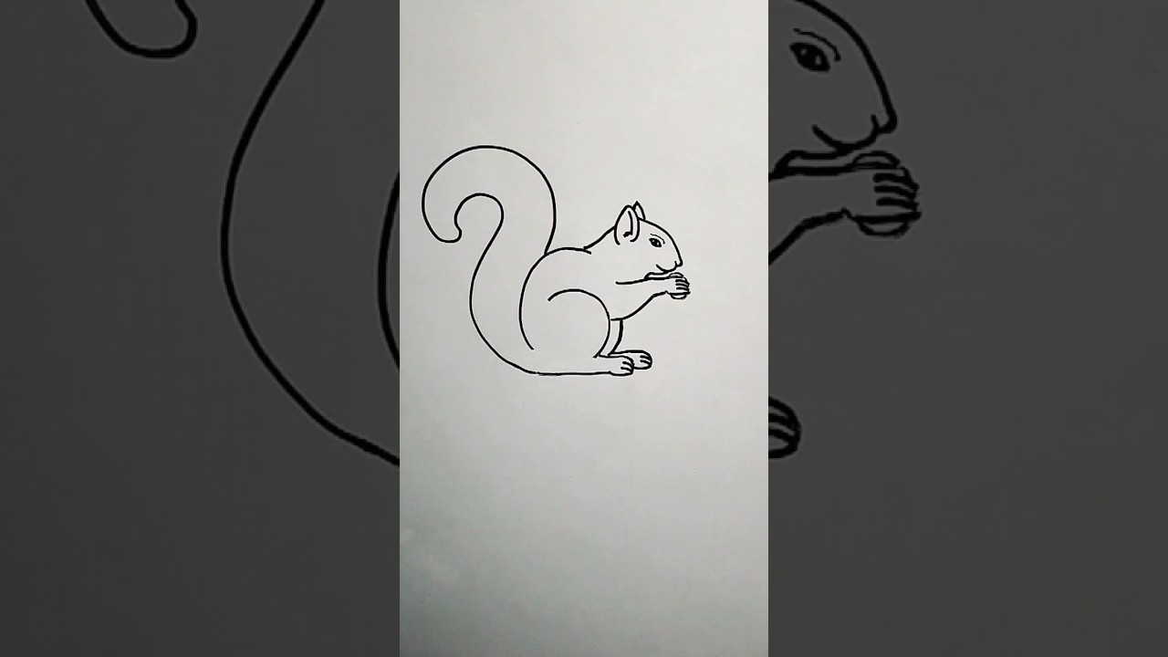 How to draw Squirrel from Number 6  