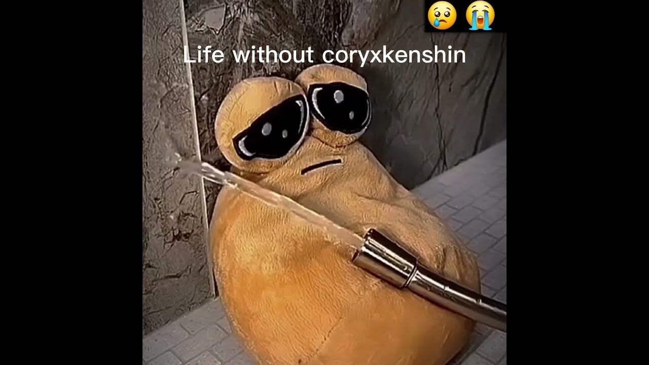 Cory, come back #sad #coryxkenshin #comeback #wemissyou