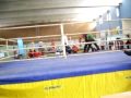 Badr 1 