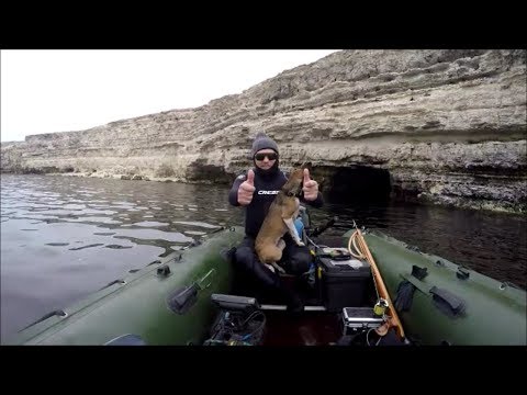 Видео: Подводен урут