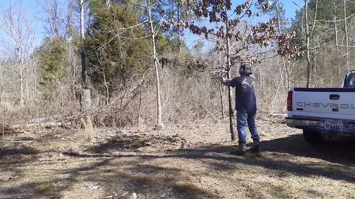 460 pistol