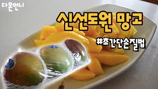ASMR인듯 아닌듯 '무병장수 신선도원 망고' 초간단 손질하고 맛있게 먹기ㅣ 메가마트 막리뷰