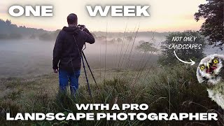 One Week as a Full Time Landscape Photographer in the Netherlands