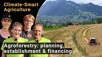 Agroforestry systems - planning, planting and financing (Climate-Smart Agriculture)