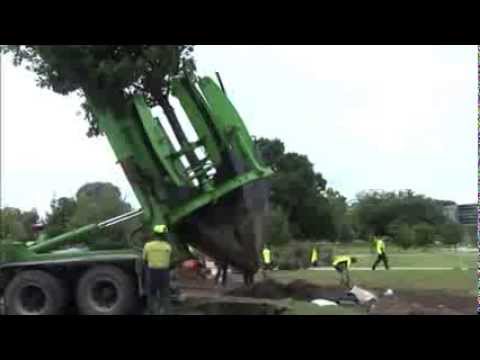 Tree Relocation Machine- Awesome - YouTube