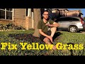 How to Fix Yellowing St Augustine Grass