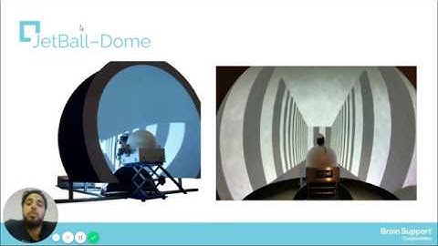 Virtual Reality Systems for Small Animals Research and Optomotor Response - PhenoSys