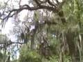 Garden Tour St. Francisville