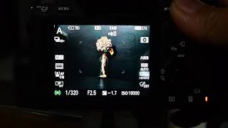 sony A7R mark III  buffer test    RAW