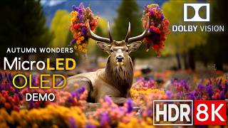 AUTUMN WONDERS 🍂   8K HDR Perfection Ultra HD | Dolby Vision™ | 60fps