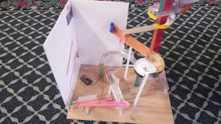 Camp Kinetic at the Palo Alto Junior Museum & Zoo