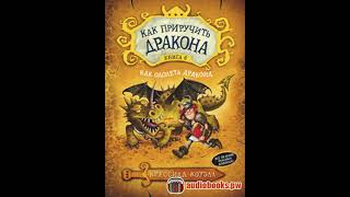 КАК ПРИРУЧИТЬ ДРАКОНА книга 6 - как одолеть дракона