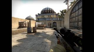 flym csgo digest1